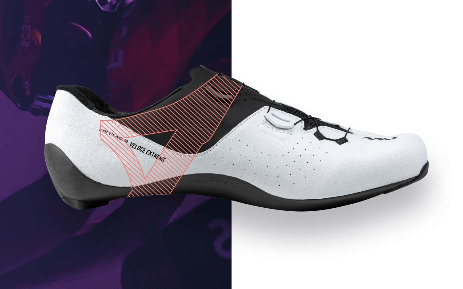 NWbike-24-veloce_tech2