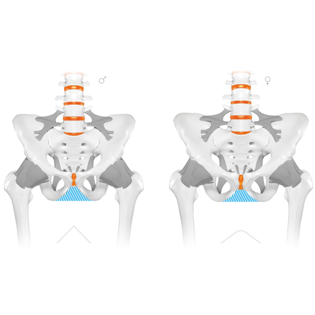 filters_grayscalefalse_blur0_quality80-6-4-1024x1024