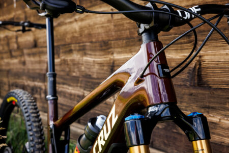 Bronson_K4A6858-450x300