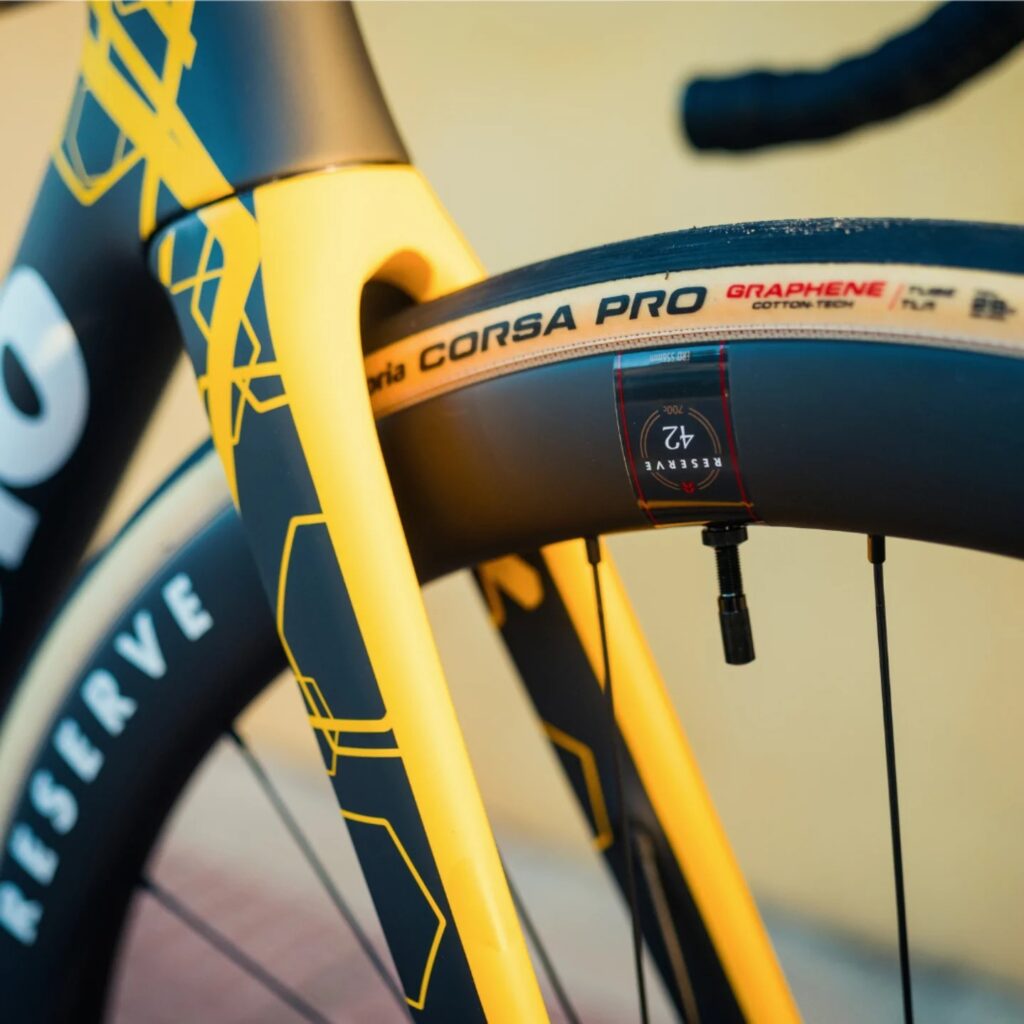 vittoria-3-1024x1024